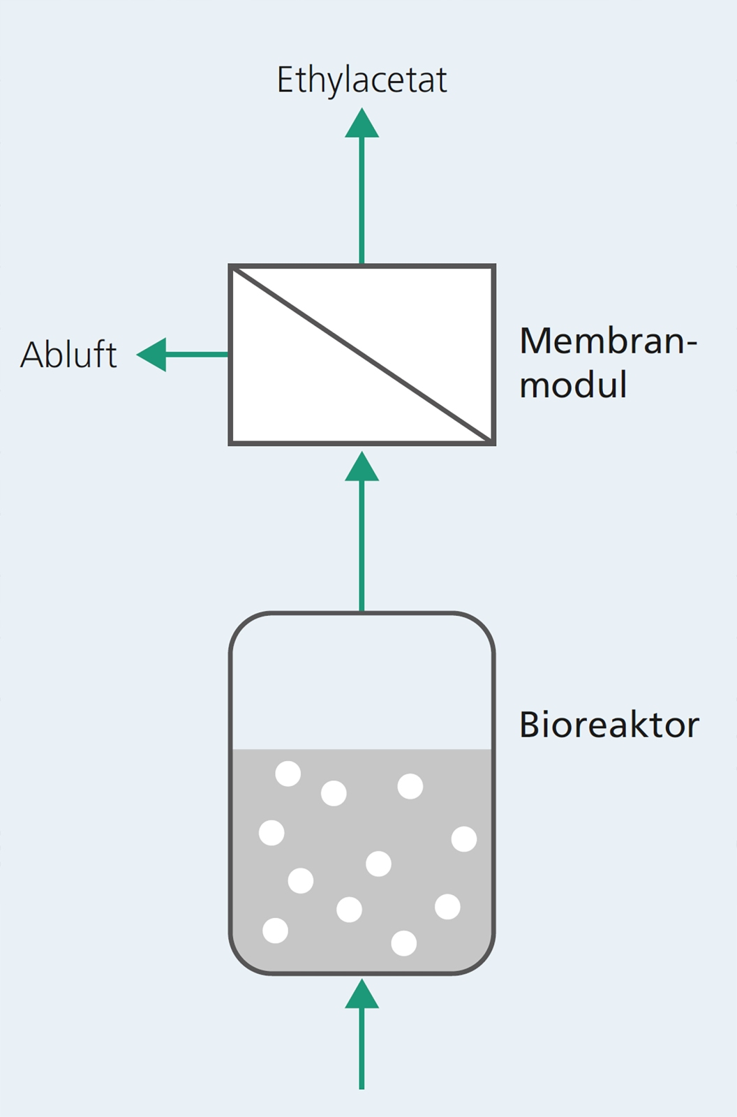 Nach der Fermentation der Melasse im Bioreaktor wird das entstandene Gas-Dampf-Gemisch durch ein Membranmodul geleitet und das wertvolle Ethylacetat abgetrennt.