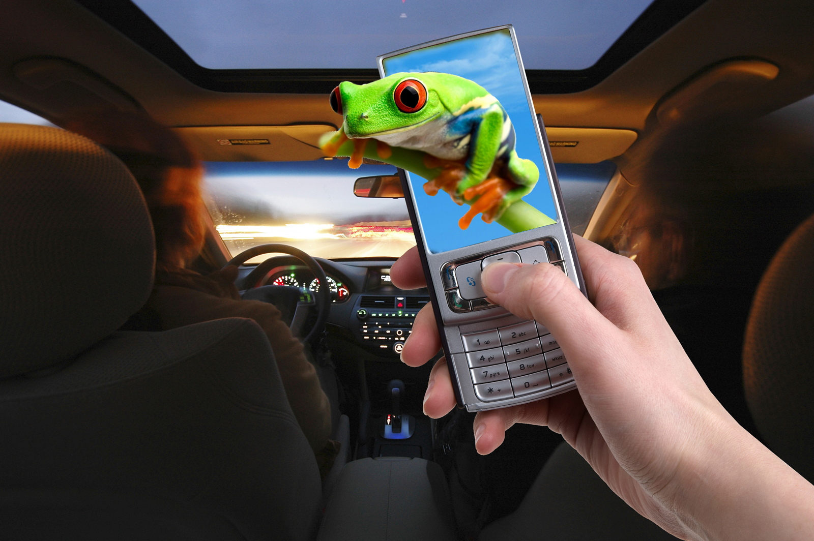 Image: 3-D films on your cell phone
