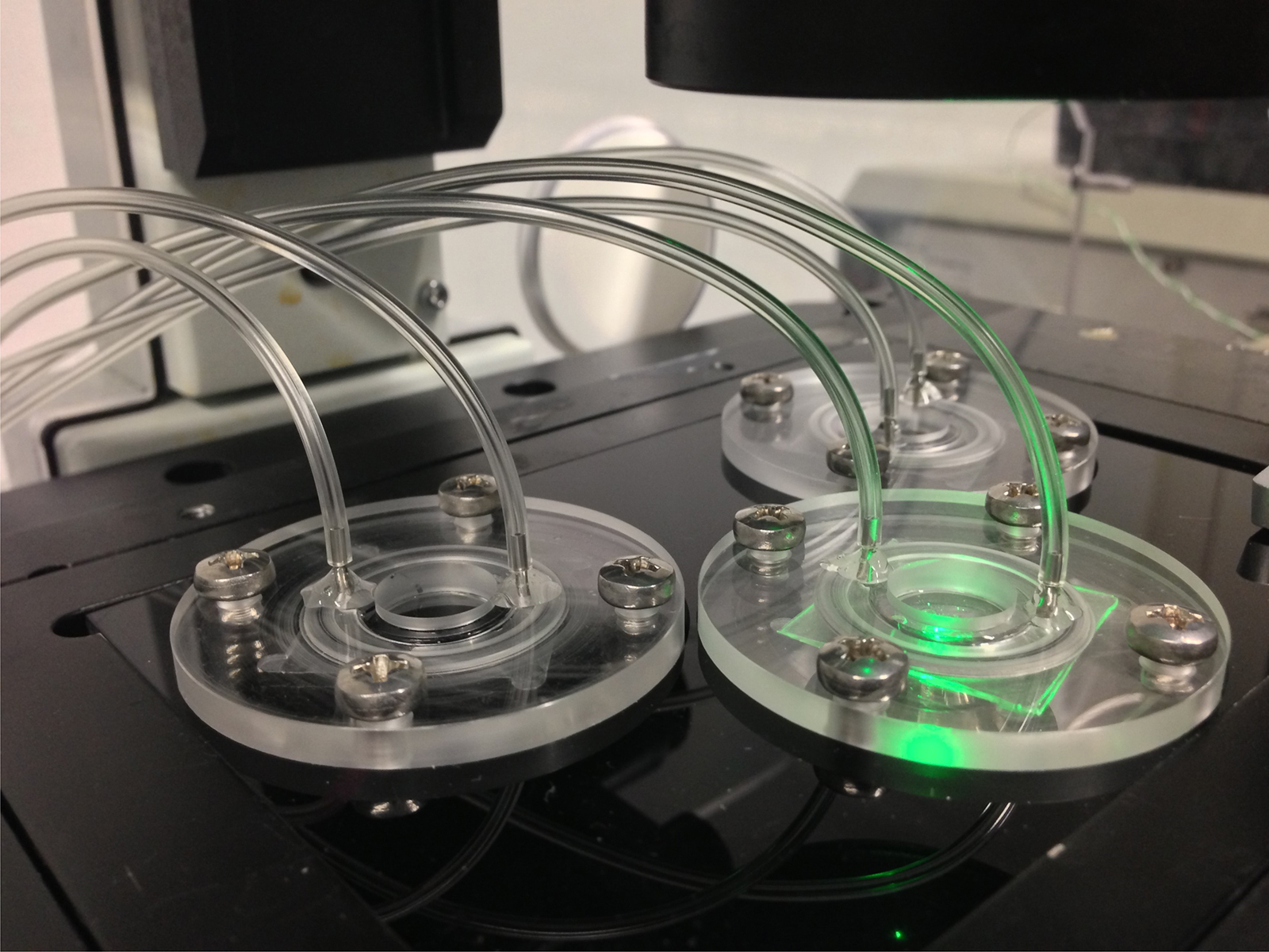 Prototype of the HeMiBio bioreactor for the long-term culture of liver cells.