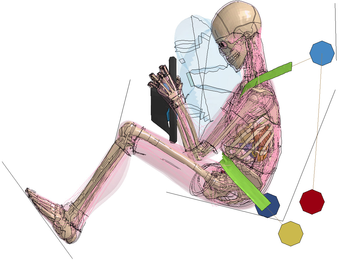 Frontal-crash simulation in which human model THUMS™ v5.01 has tensed muscles. Via active muscle contraction, the THUMS model grips the steering wheel and braces for impact, which potentially eases the stress on the ribcage. The colored octahedrons visualize the various fastening points of the modeled seat belt.