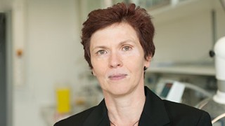 Eva Ehrentreich-Förster