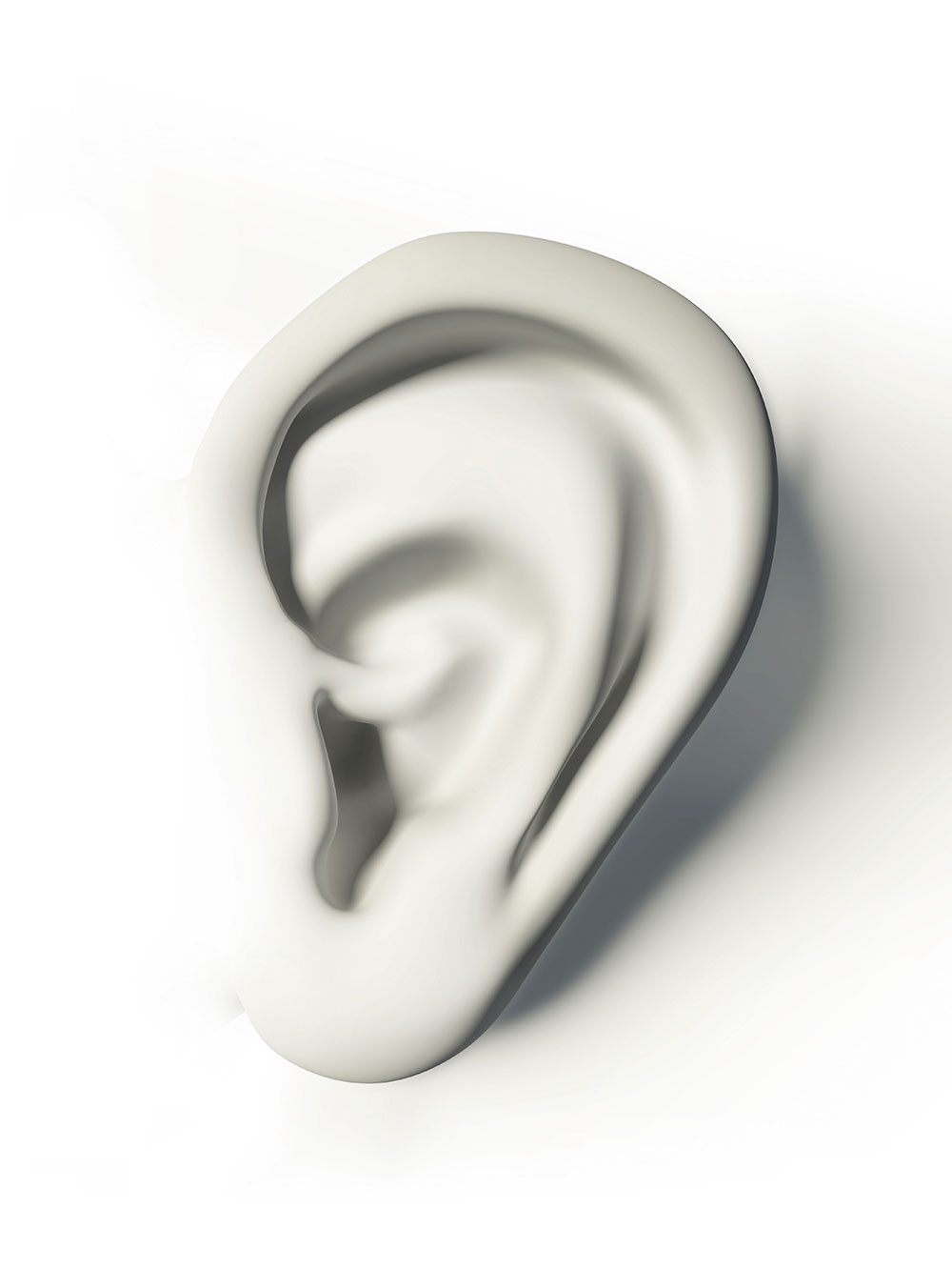 white human ear on white background