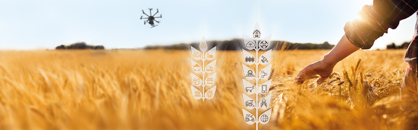 Fraunhofer-Leitprojekt »Cognitive Agriculture«