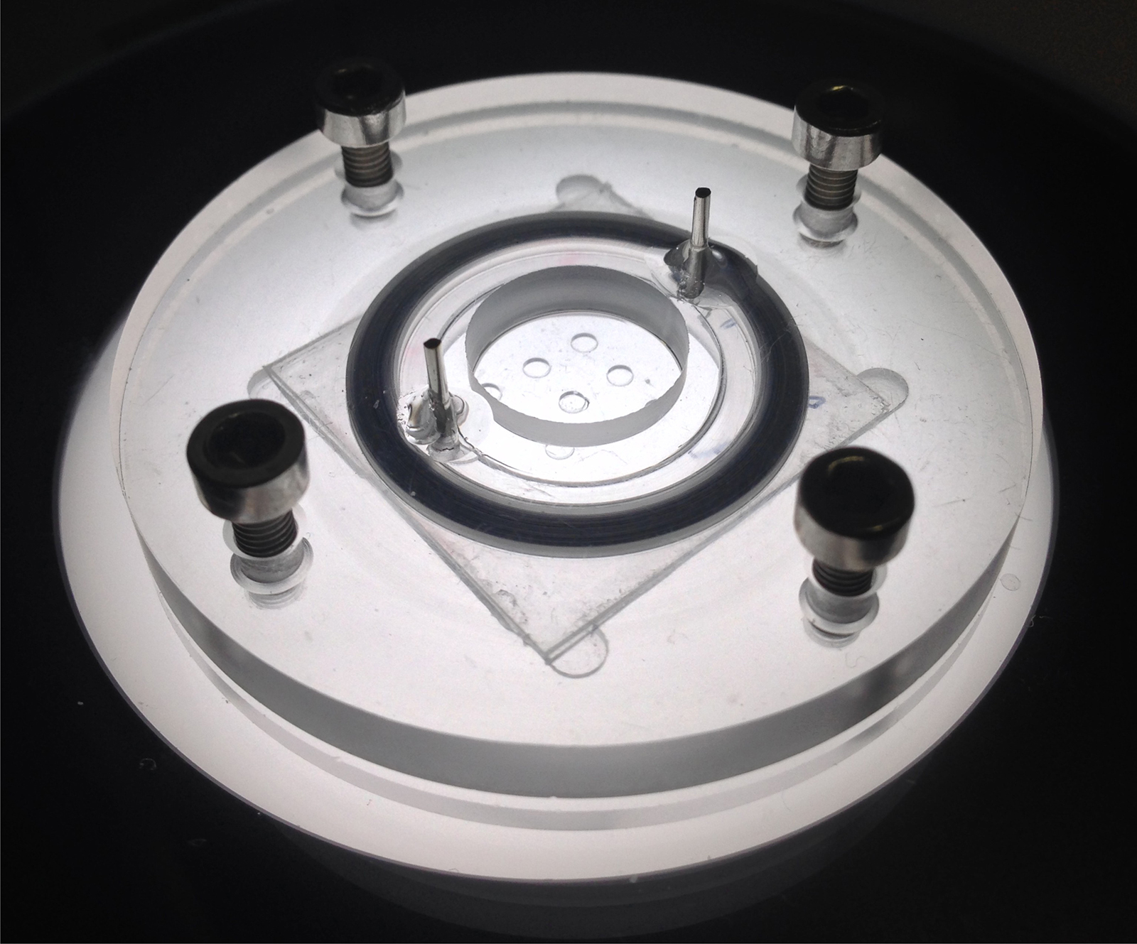 Prototyp des Bioreaktors HeMiBio zur Langzeitkultivierung von Leberzellen.