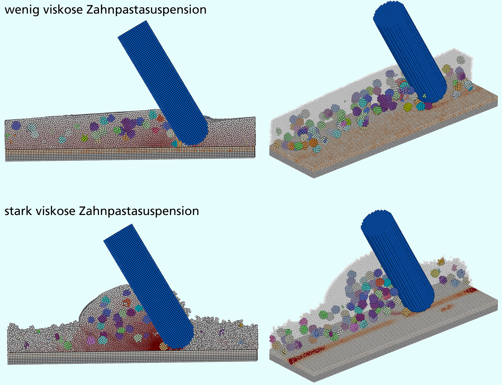 Simulation der Druckverteilung bei unterschiedlich viskoser Suspension mit kugelähnlichen Abrasivpartikeln, wenn ein Zahnbürstenfilament über den Zahnschmelz streicht: Die viskosere Zahnspastasuspension bewirkt eine stärkere Abreibung auf dem Zahnschmelz. Oben: geringere Viskosität 1 mPas, unten: höhere Viskosität 20 mPas. Links: Druckverteilung in der Suspension (eine stärkere Rotfärbung zeigt einen höheren Druck), rechts: Spannungseintrag in den Zahnschmelz durch Abrasivpartikel (eine stärkere Rotfärbung deutet auf stärkere Abreibung hin).