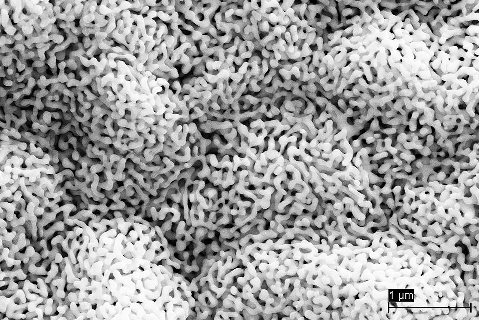 Um jeden Lichtpunkt unabhängig zu steuern, stellt ein Gold-Nanoschwamm den Kontakt zwischen den einzelnen Pixeln und dem Treiber-Chip her. Die nanoporöse Goldstruktur lässt sich wie ein Schwamm zusammendrücken und genau an die Topografie des Bauelements anpassen.