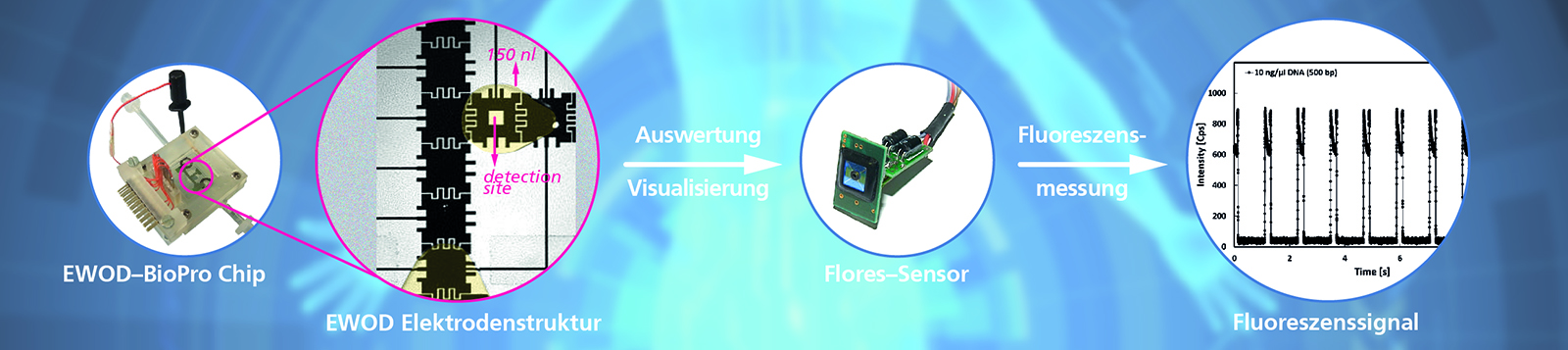 Das EWOD-BioPro Electrowetting-On-Dielectric System hilft, biologische Mechanismen und Interaktionen besser zu verstehen. 