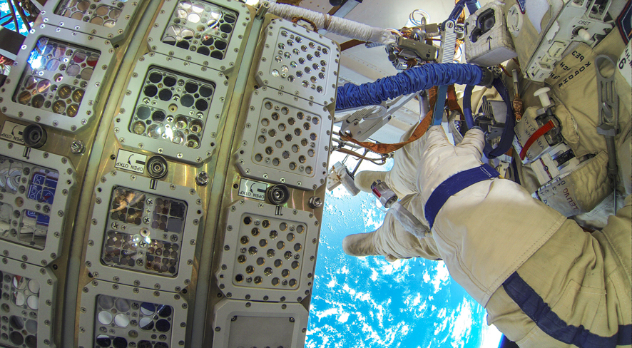 Grün- und Blaualgen wurden in diesen Halterungen auf der Außenseite der Weltraumstation ISS über eineinhalb Jahre den Raumbedingungen ausgesetzt. 