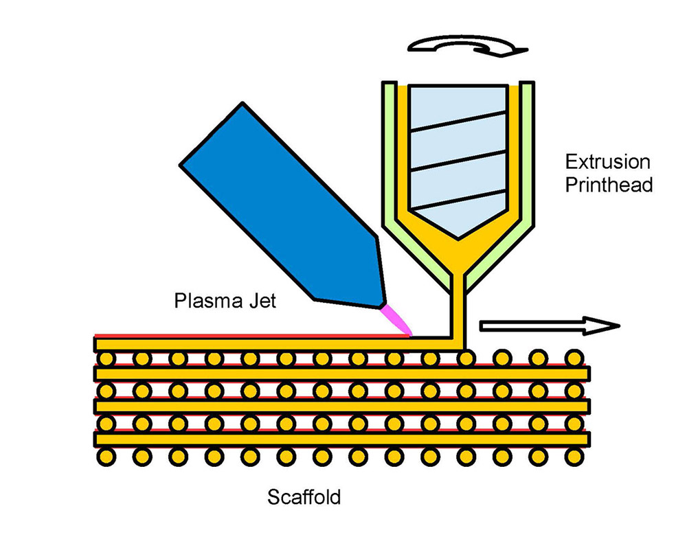 Schema zur Herstellung beschichteter Scaffolds: Unmittelbar nach der Extrusion werden die Gerüststrukturen mit einem kalten Plasma behandelt. 