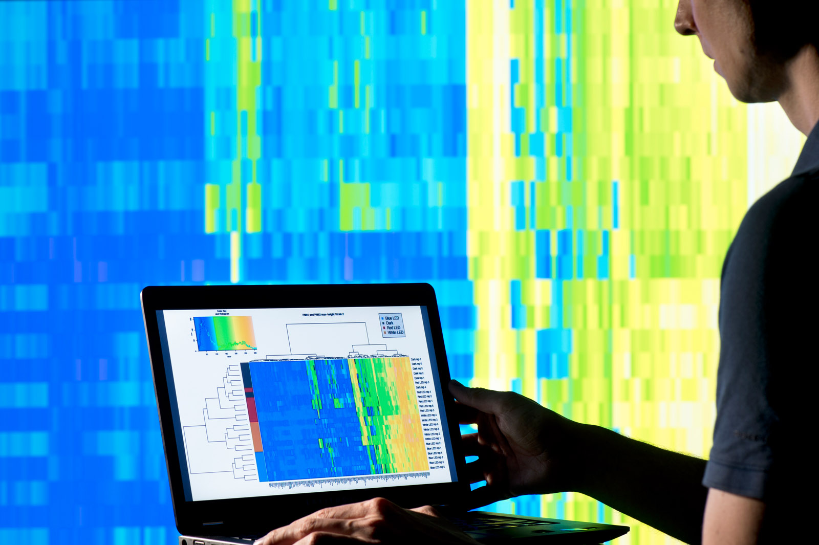 Datenverarbeitung, Analyse und Auswertung sind in einer einzigen Benutzeroberfläche vereint.