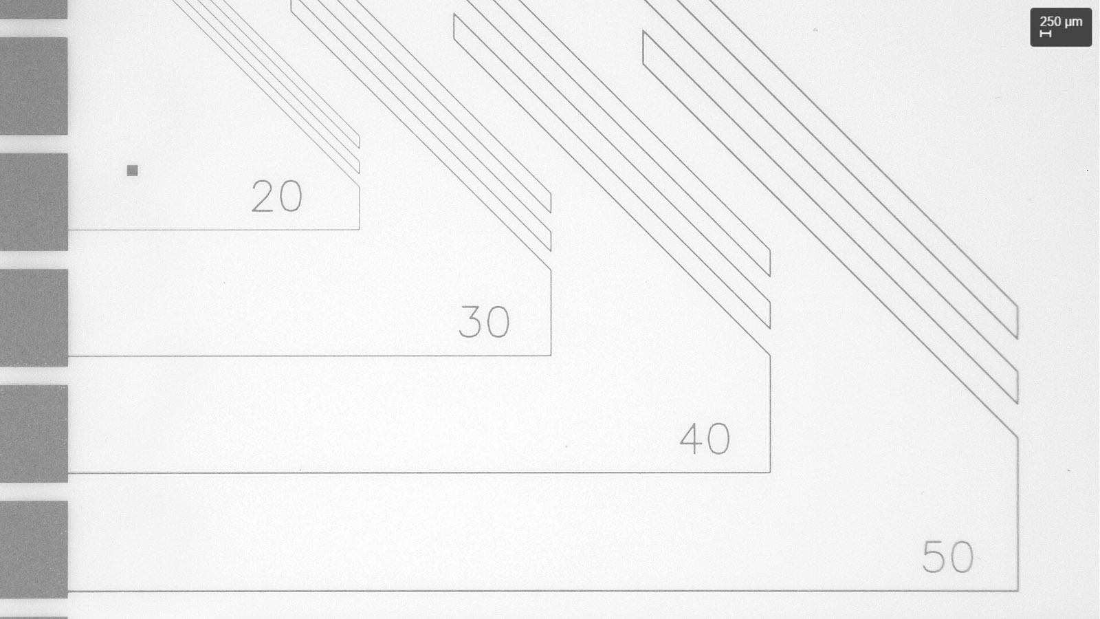 Mikroskopischer Vergleich unterschiedlicher Strukturen von 20 bis 50 Mikrometer.