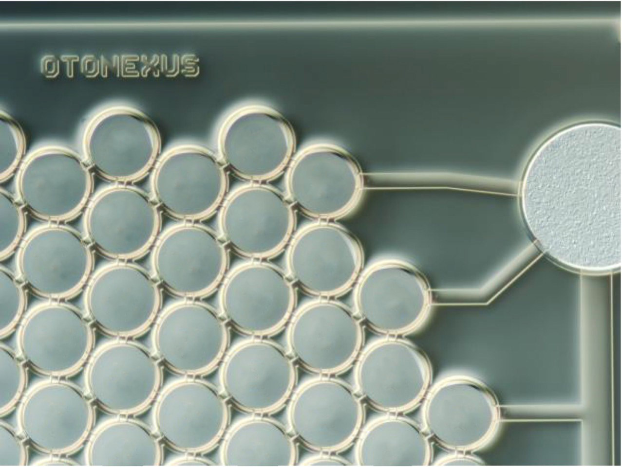 Der einzigartige CMUT-Chip des Fraunhofer IPMS nutzt Ultraschall für das Otoskop der US-amerikanischen Firma OtoNexus Medical Technologies.