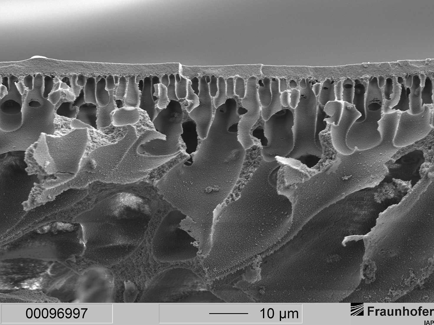 Membranmorphologie mit extrem dünner Schaumschicht, aber zugleich sehr hohem Materialtransport. Die offenen Kavernen ermöglichen einen konvektiven Transport bis zur Grenzschicht. Der Stofftransport wird auf Kosten der mechanischen Stabilität (ca. 10bar) erhöht.