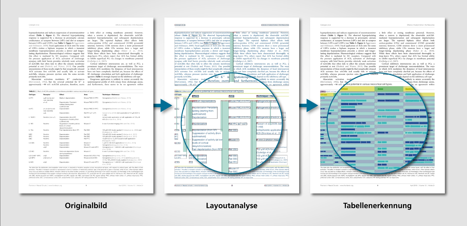 Beispiel für eine KI-gestützte Layoutanalyse und Tabellenerkennung digitalisierter Dokumente.