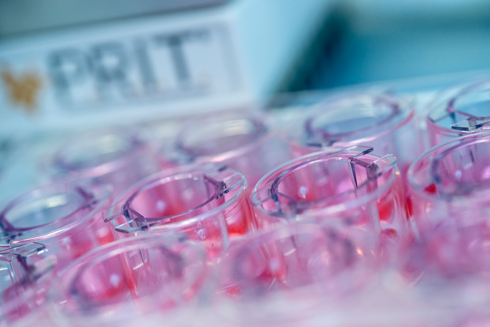 Mit dem am Fraunhofer ITEM entwickelten Expositionsgerät P.R.I.T.® ExpoCube® können verschiedene Klassen inhalierbarer Substanzen mit hoher Reproduzierbarkeit und ausreichender Dosiskontrolle geprüft werden. 