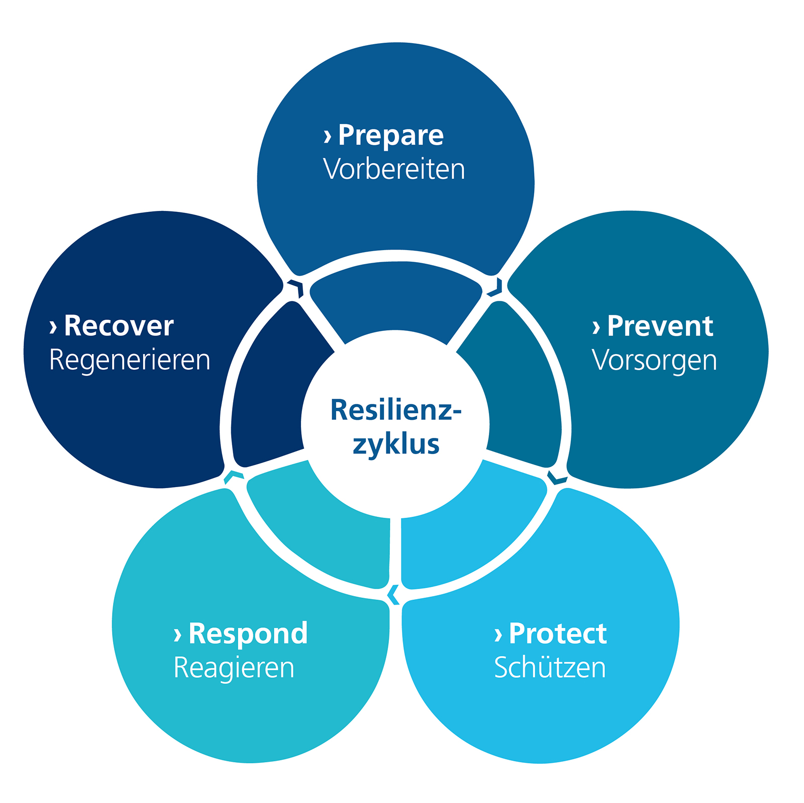 Ein Schadensereignis wird im Resilienzzyklus in fünf Phasen eingeteilt.