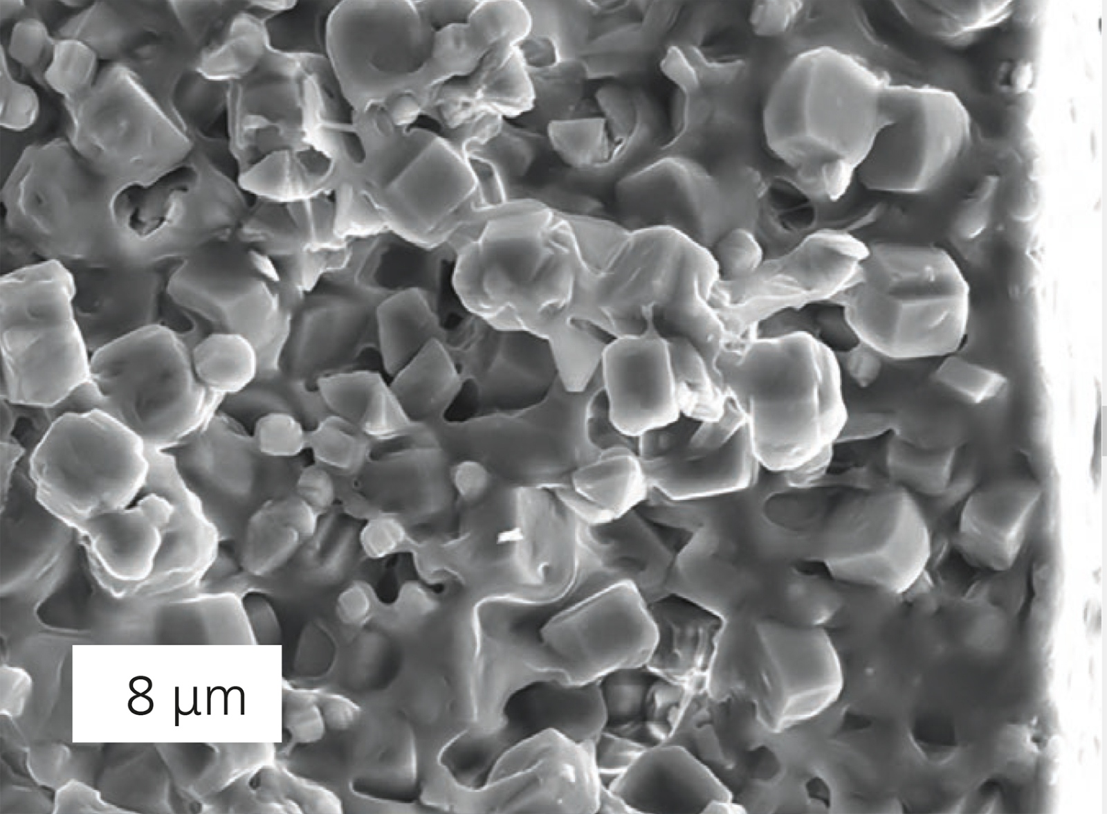 Rasterelektronenmikroskop-Aufnahme einer Kompositmembran. Durch die nur 0,5 nm großen Poren der Zeolithschicht diffundieren die Ethylacetat-Moleküle auf die andere Seite der Membran.