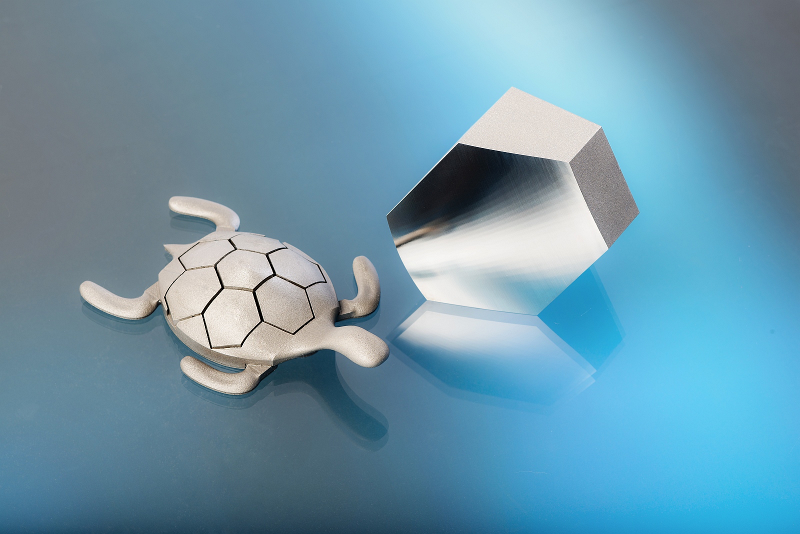 Additiv gefertigte Schildkröte und Segment mit nachbearbeiteter Oberfläche.