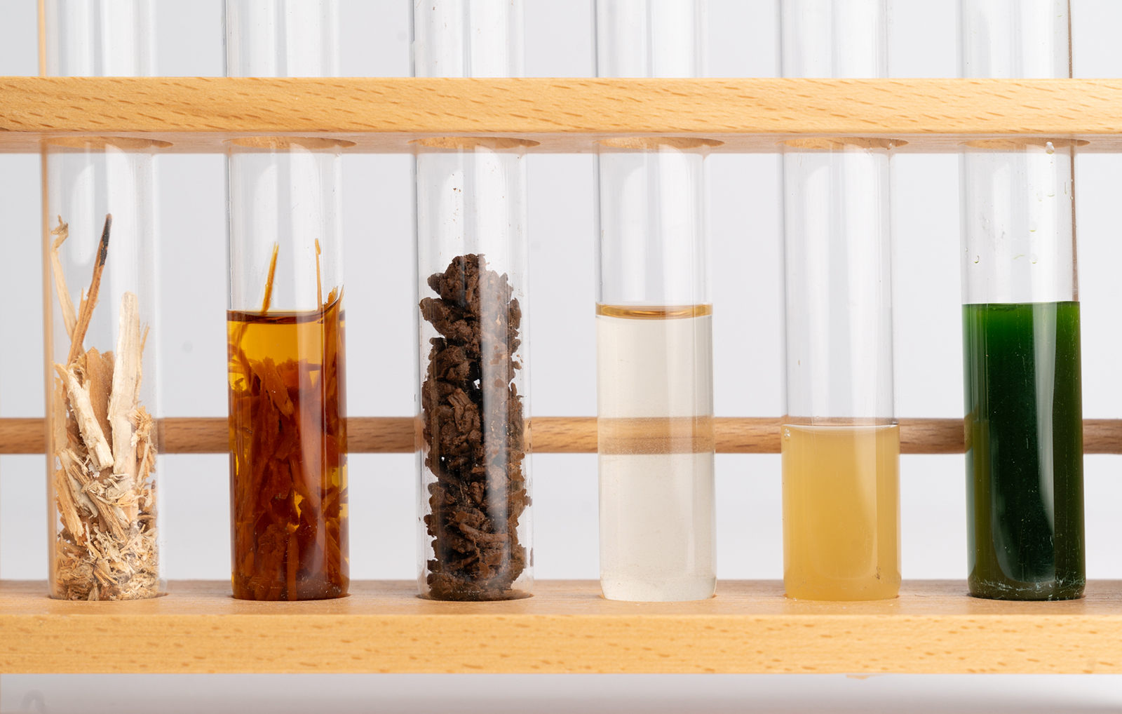 Von links: Unbehandeltes Altholz, Holz in der Aufschlusslösung, Cellulosefasern (nach Kochung und Waschgang), Zuckerlösung aus Cellulosefasern, anaerober Wasserstoffproduzent (Bakterien), Mikroalgen