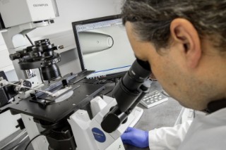Forscher sieht durch Mikroskop und erfasst eine einzelne Zelle