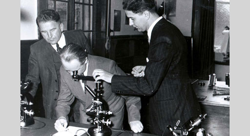 Institut für angewandte Mikroskopie, Photographie und Kinematographie IMPK, 1954 in Mannheim 