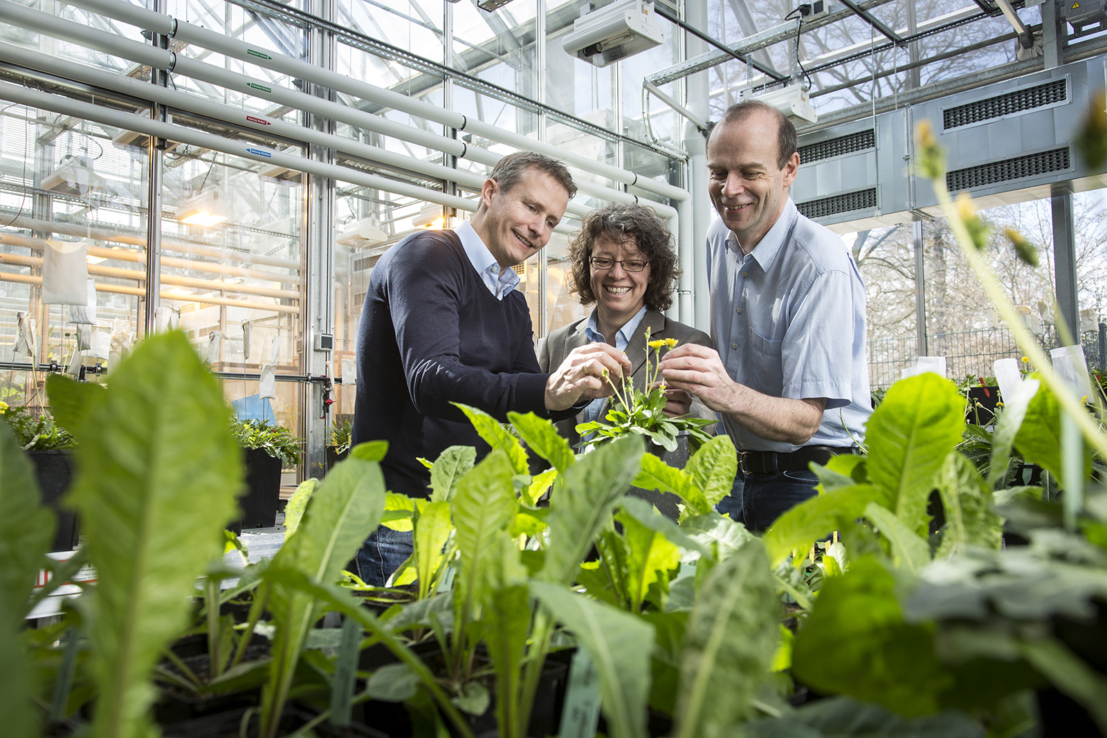 Joseph-von-Fraunhofer-Preis 2015: Dr. Christian Schulze Gronover, Dr. Carla Recker (Continental Reifen Deutschland GmbH) und Prof. Dirk Prüfer Naturkautschuk