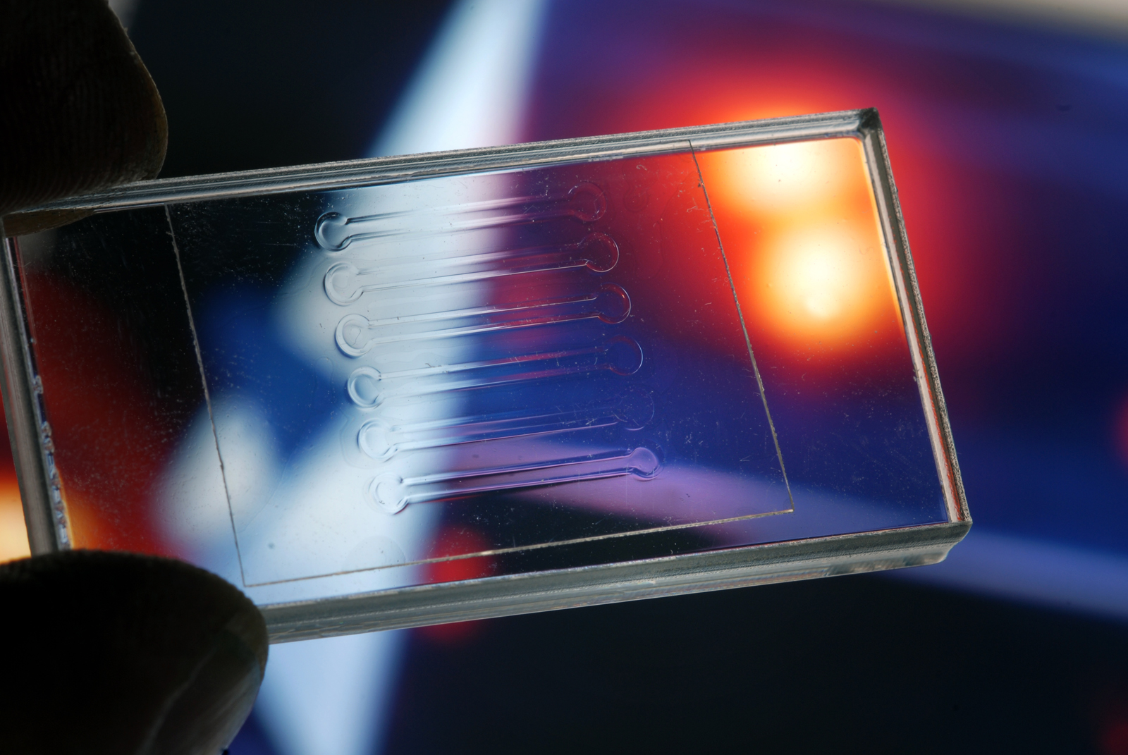 Image: Transparent plastics