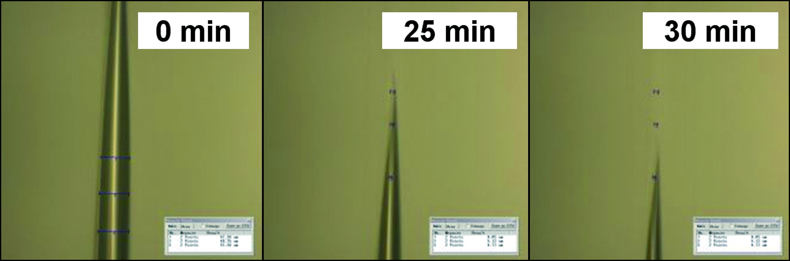 Image: Microcrack
