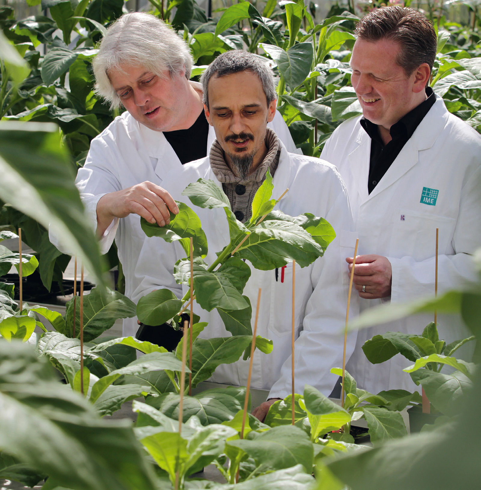 Image: Dr. Jürgen Drossard, Dr. Thomas Rademacher and Dr. Stefan Schillberg (from left to right)