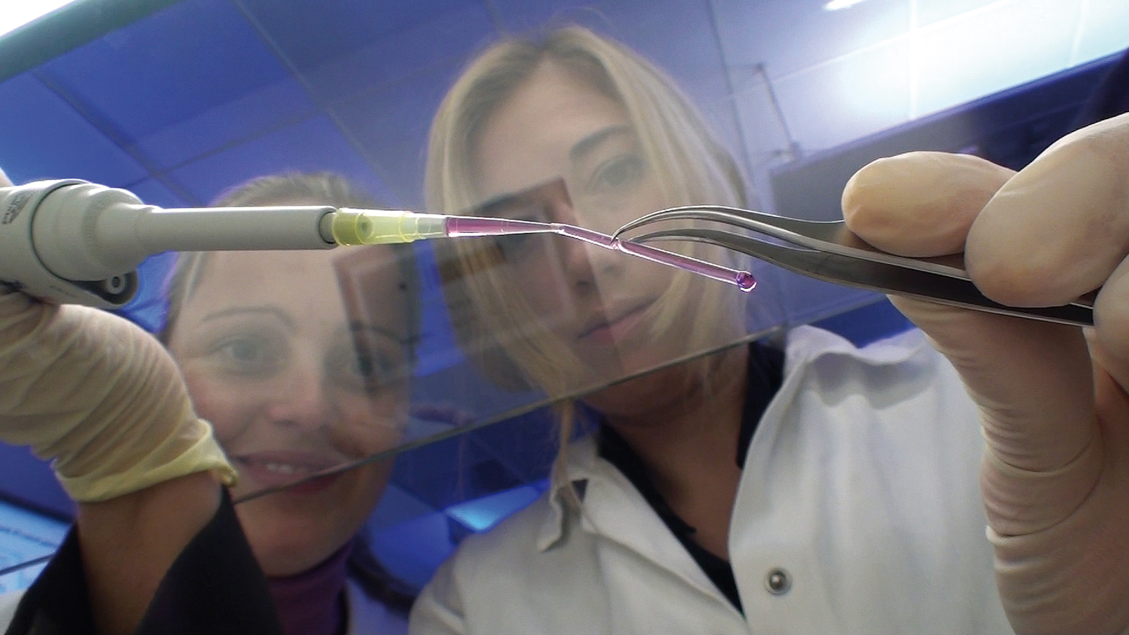 picture: Scienetists flushing a blood vessel