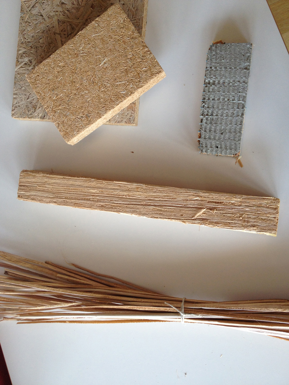Using cattails for insulation