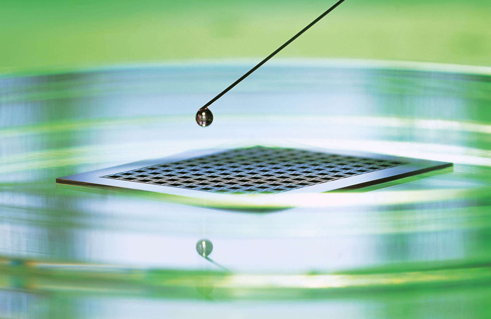 Biomolecules for the production line