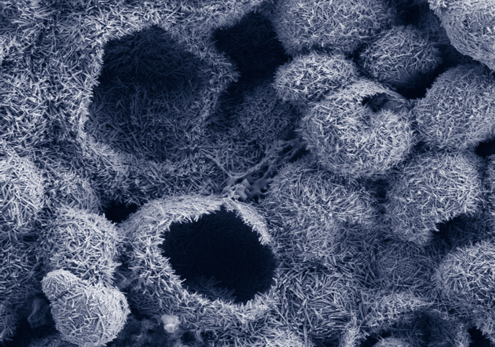 A coating that protects against heat and oxidation