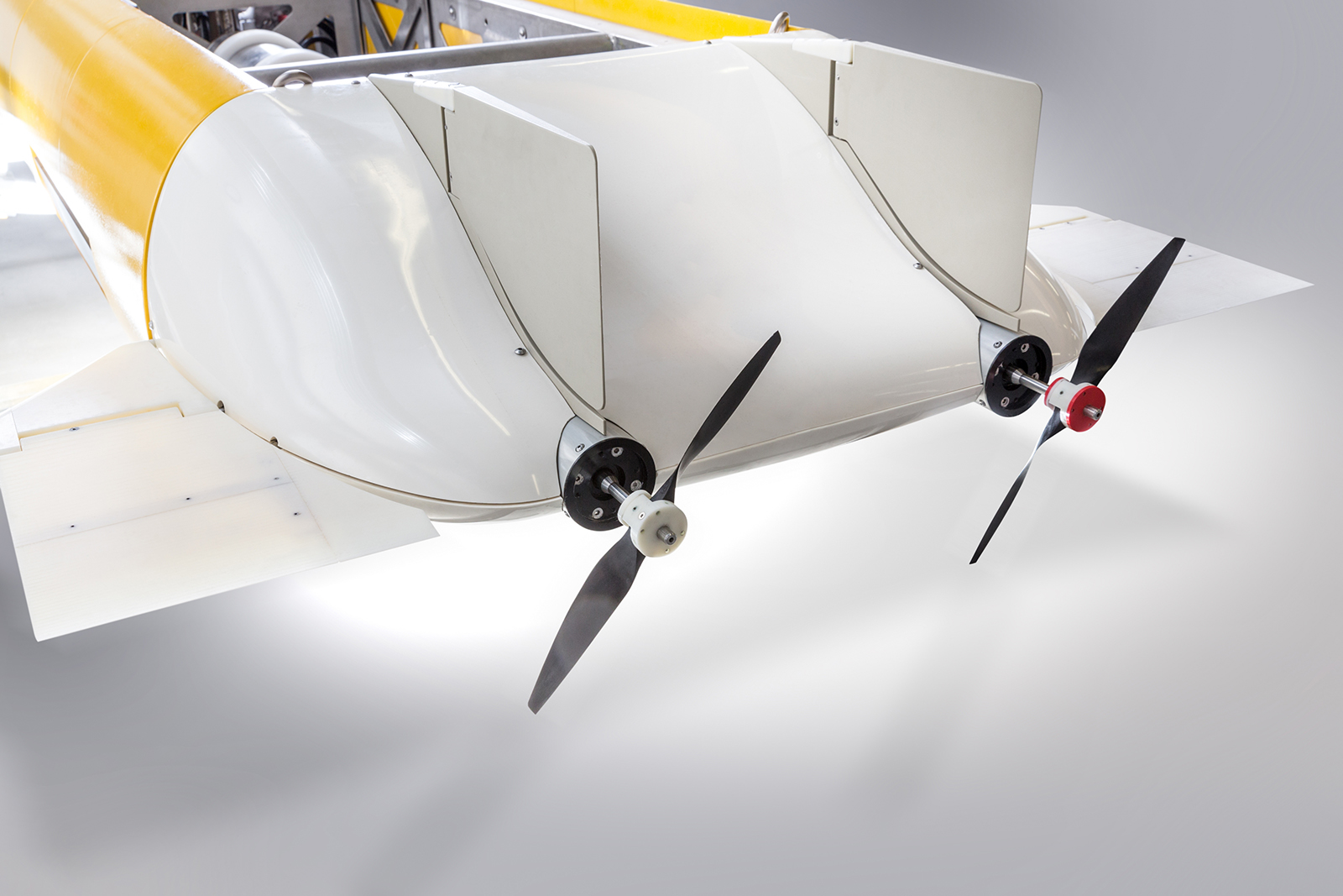 Experimental model of the motor unit.