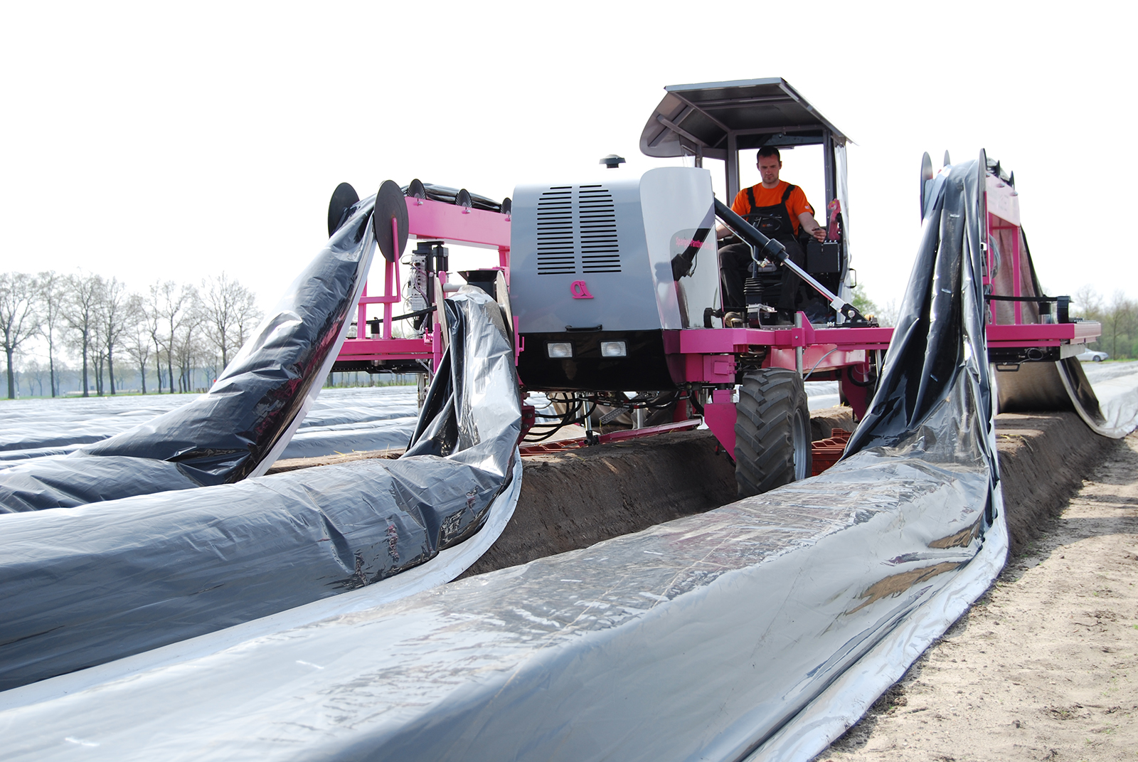 The “Spargelpanther”, developed in a previous project, will also be harvesting cauliflower and leaf lettuce in the future. 