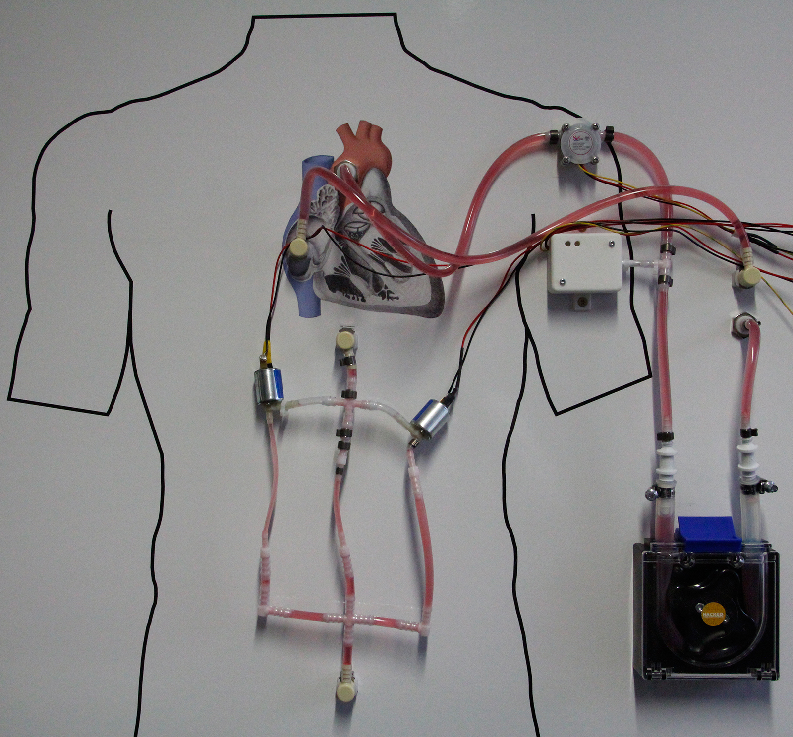 Exhibit to demonstrate the application potential of the hardware-in-the-loop method using the example of a heart assist pump.