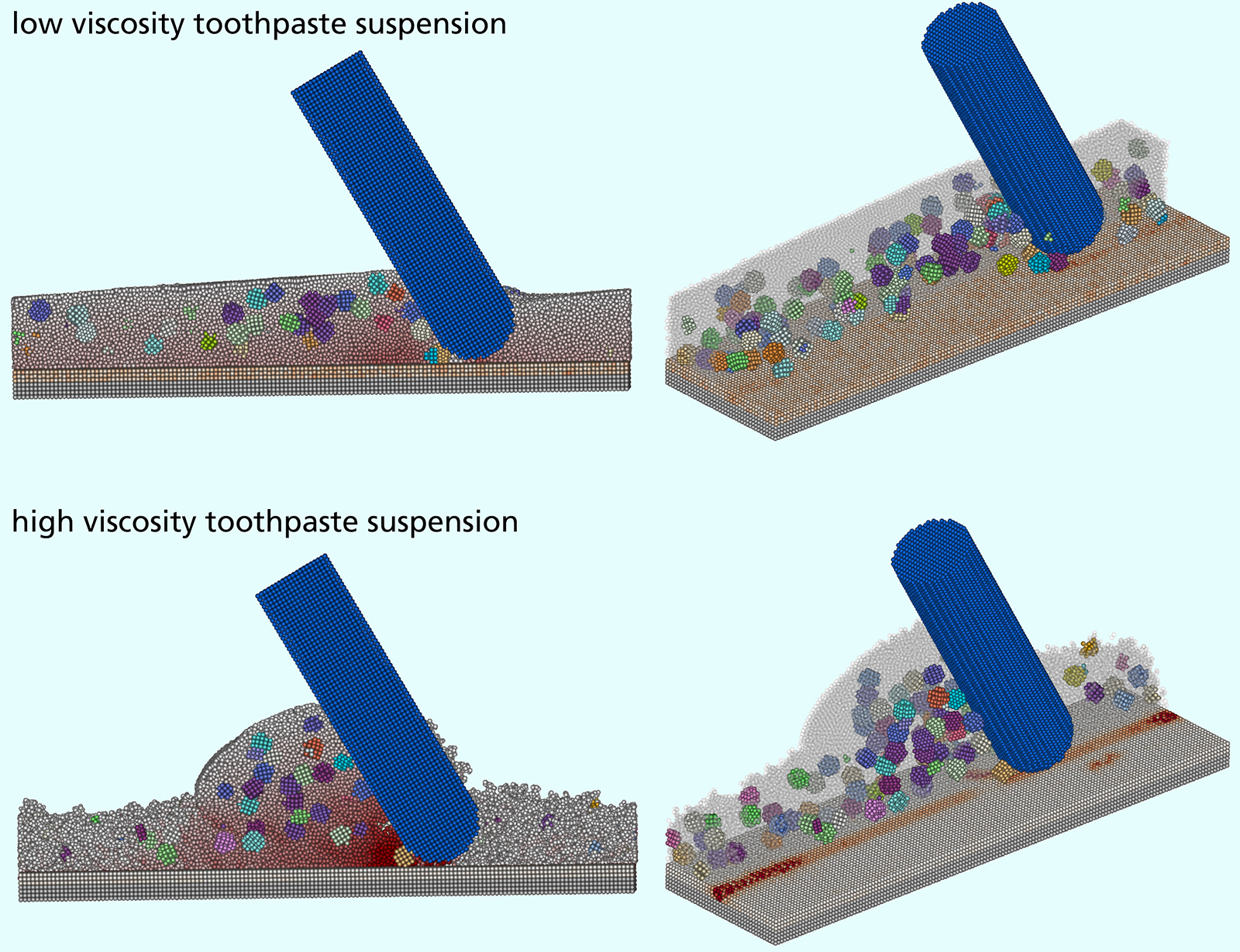 Simulation of pressure distribution in suspensions of varying viscosities with spherical abrasive particles as a toothbrush bristle rubs against the tooth enamel: the more viscous toothpaste suspension leads to greater abrasion on the tooth enamel. Above: lower viscosity 1 mPas, below: higher viscosity 20 mPas.  Left: pressure distribution in the suspension (a deeper red indicates higher pressure), right: stress input against the tooth enamel by abrasive particles (a deeper red indicates greater abrasion).