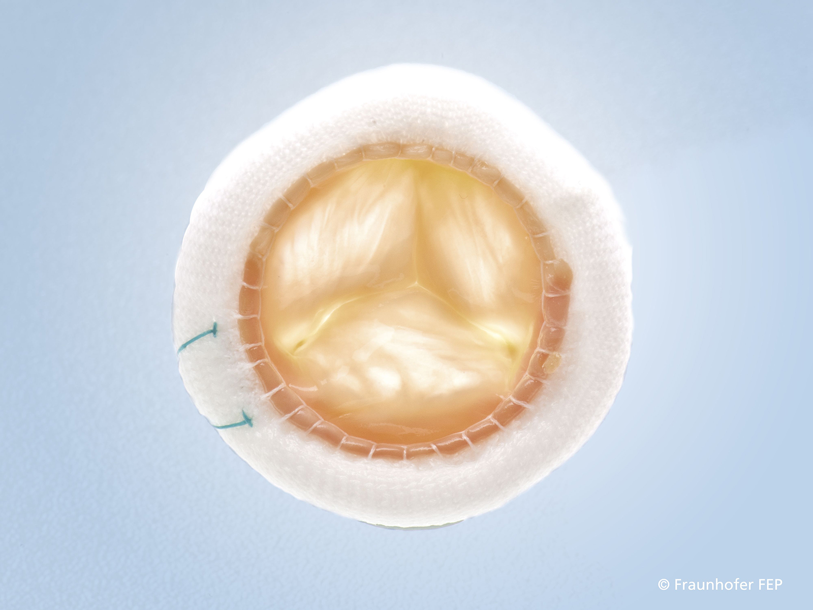 Commercially available cardiac valve prosthesis