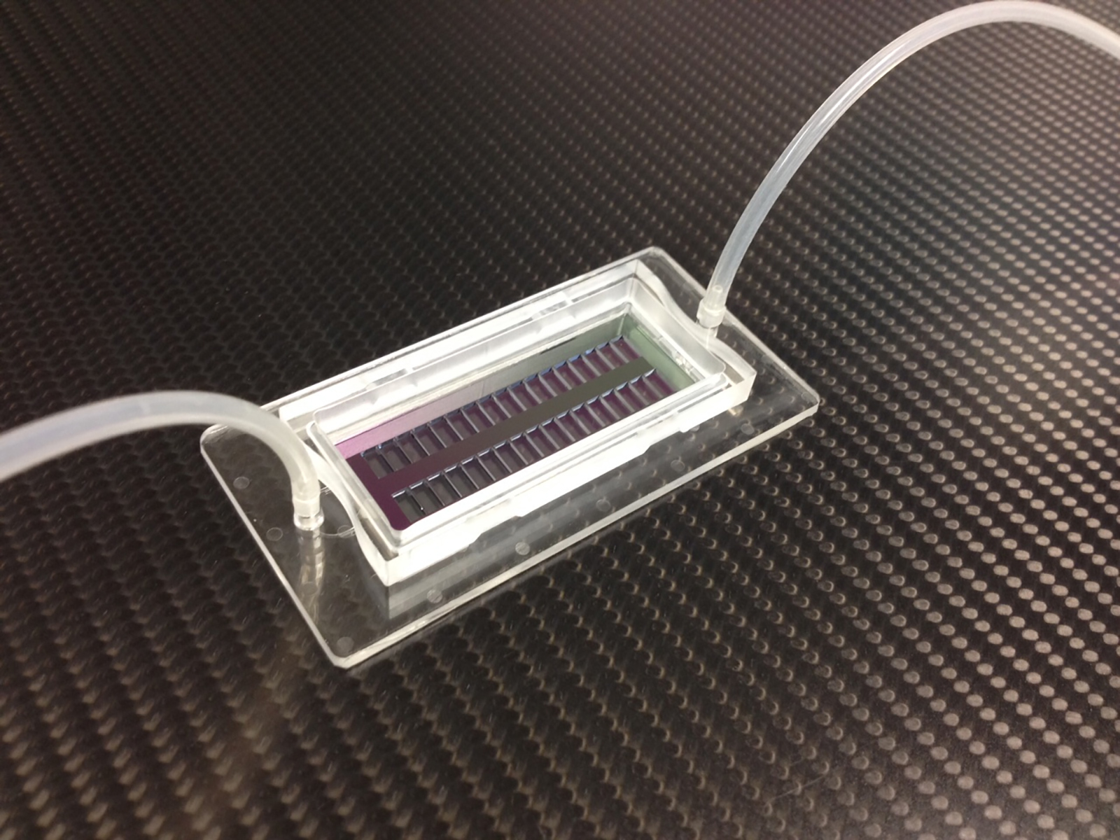 The new microhole chip can be populated with 200,000 single cells, each held in place in separate holes.