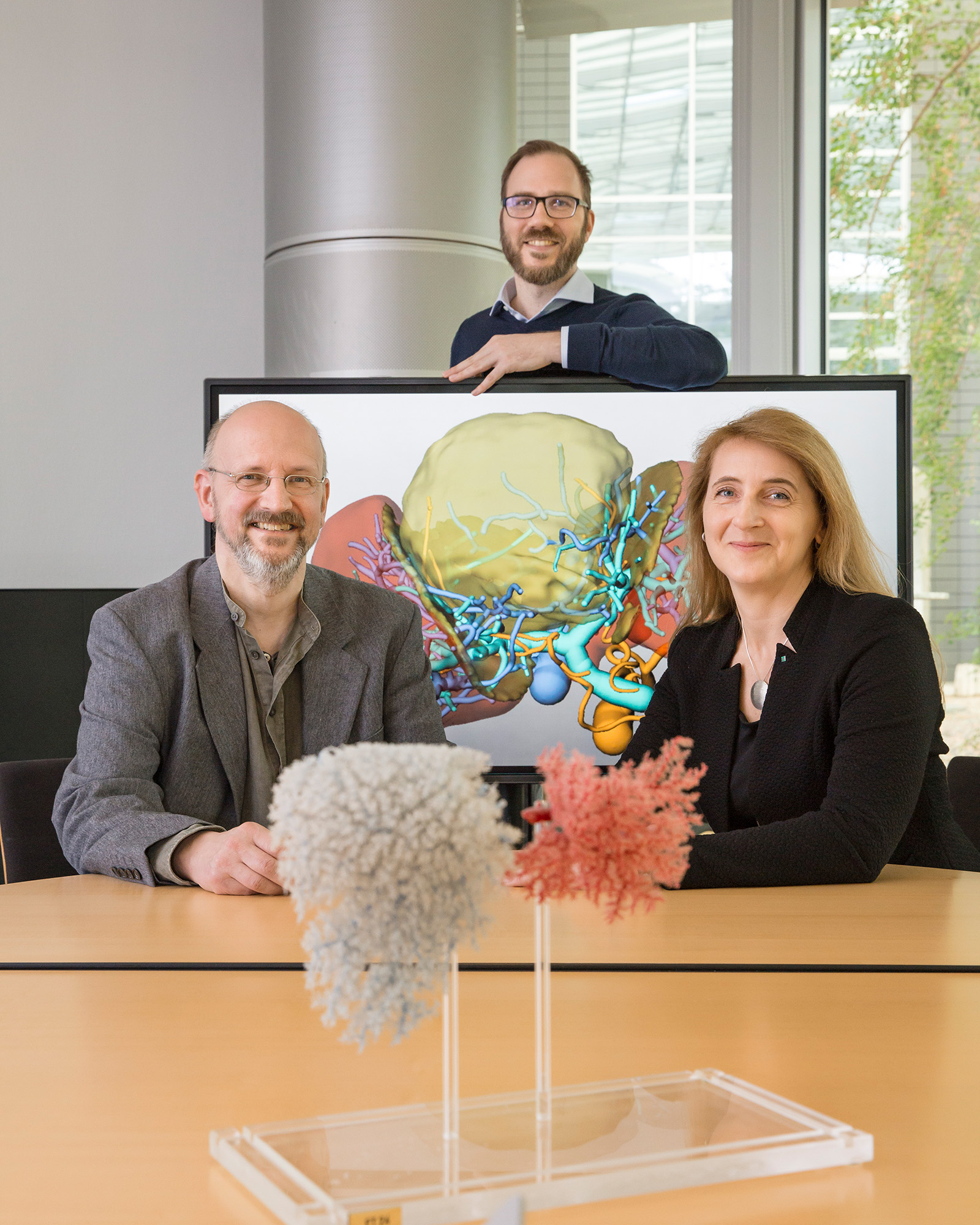 Dr. Stephan Zidowitz, Alexander Köhn and Dr. Andrea Schenk have developed algorithms that analyze patient image data and calculate surgical risks. Liver cancer surgery is thus easier to plan and safer.