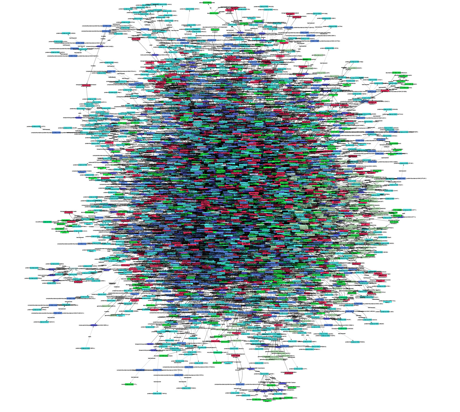 Semi-automatically generated biochemical networks help researchers map out and recognize connections.