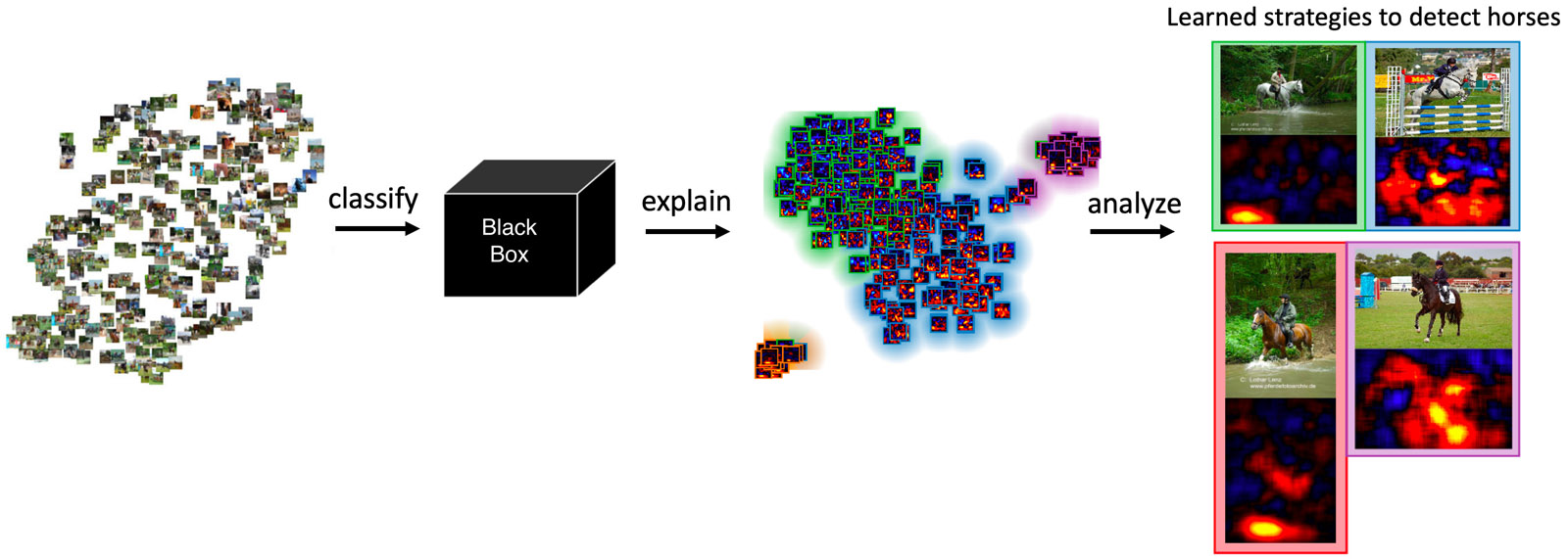 Layer-wise Relevance Propagation provides a look inside the “black box”.