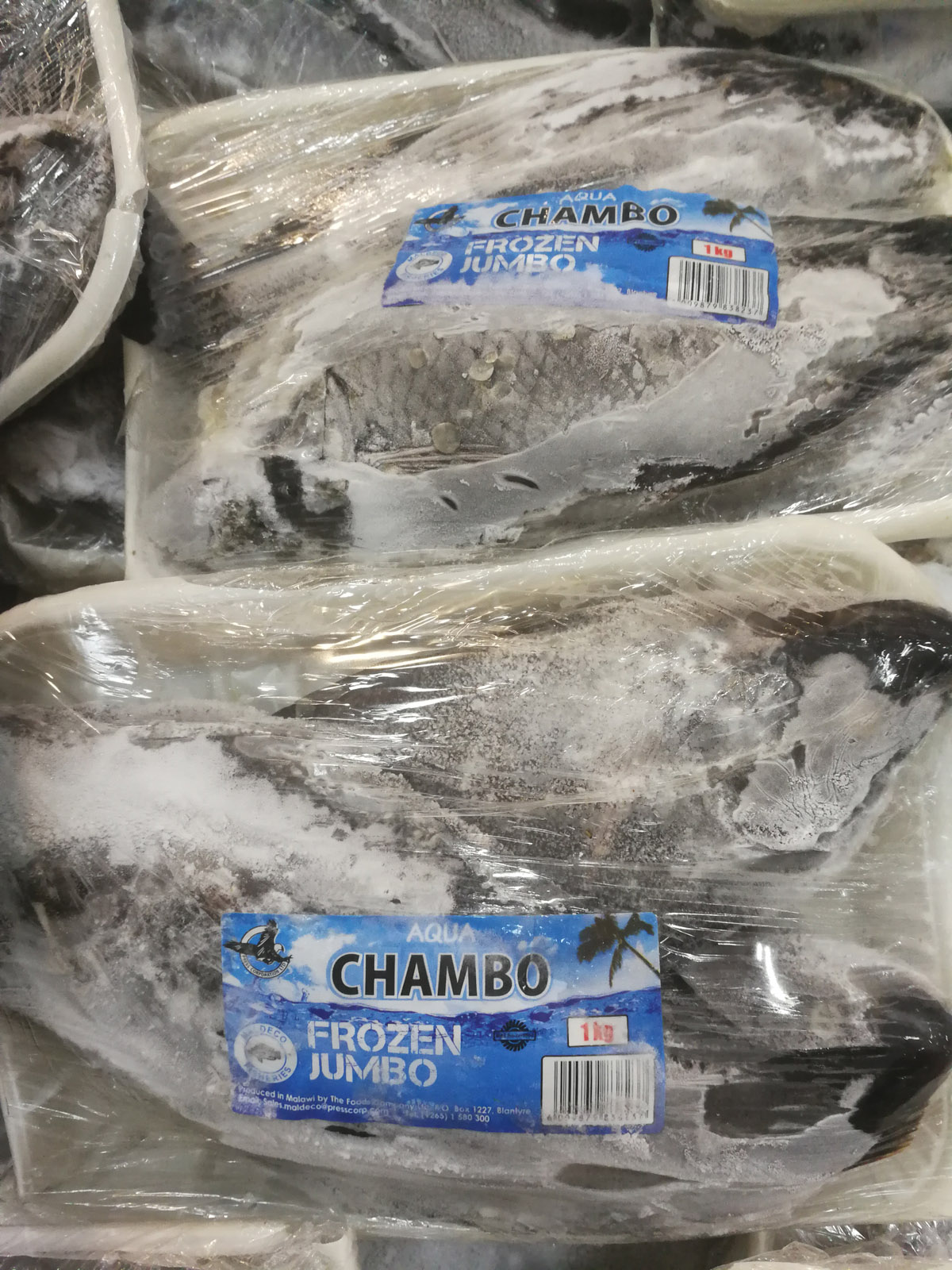 Frozen chambo in the supermarket freezer cabinet.