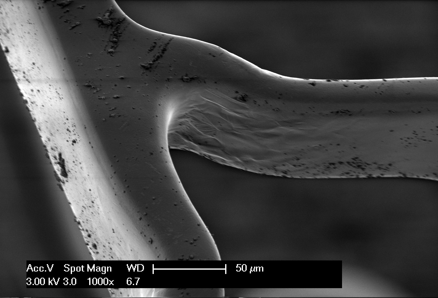 The coating is barely changed after 30 days of exposure to the test fluid.