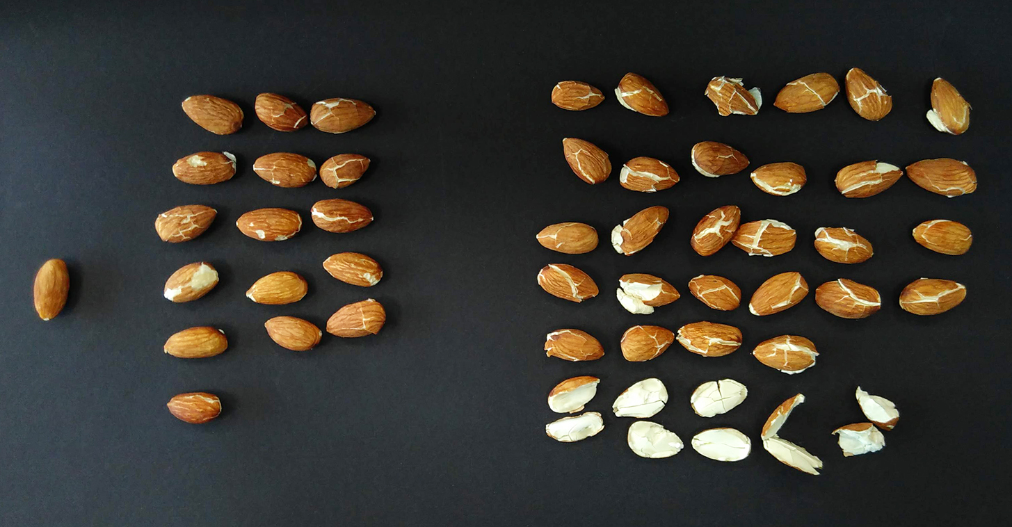 These almonds have been treated in a high-pressure autoclave. Pressure build-up and pressure reduction speed is a decisive factor in maintaining the quality.