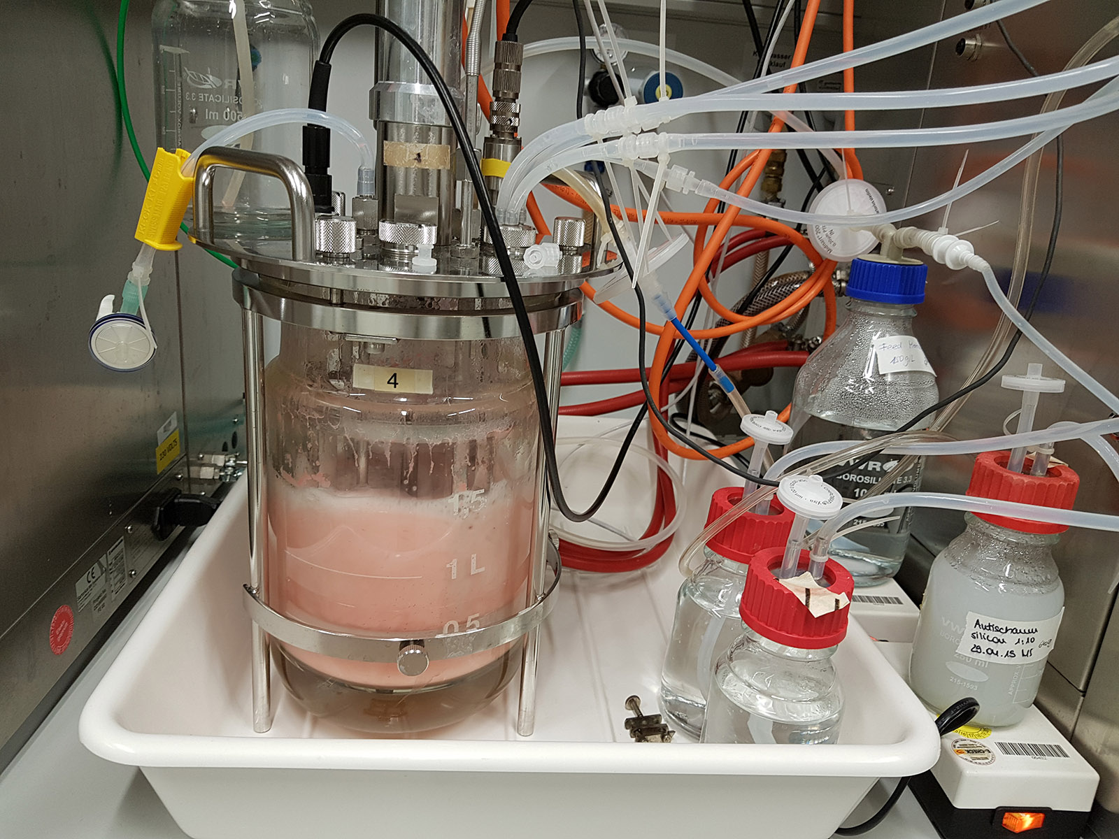 Setup of a bioreactor for growing large amounts of biomass of M. extorquens AM1.