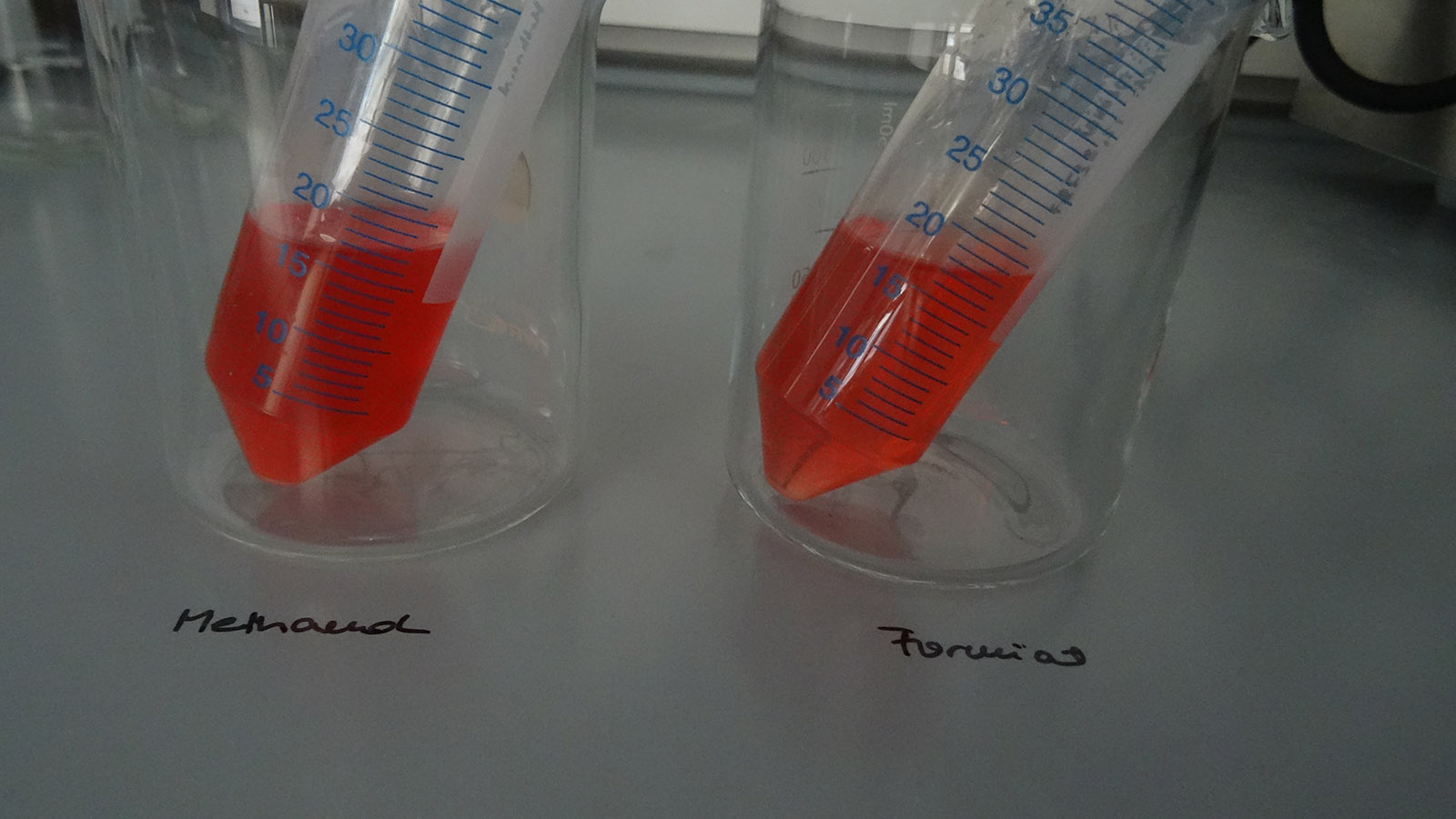 Isolated dye from bioreactor cultivations of M.  extorquens AM1 on methanol as a substrate or on formic acid (formate) as a substrate.                        