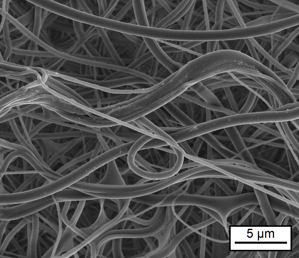 Microstructure of a tropoelastin nonwoven that has been crosslinked with formaldehyde (scanning elec-tron microscope image).