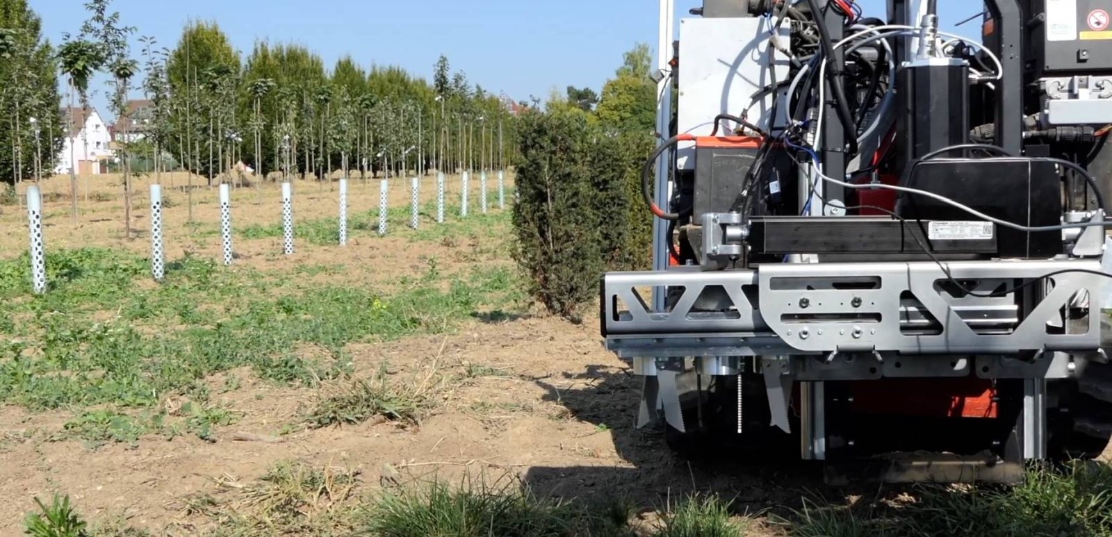 The manipulator also moves in the gaps between the crop rows and removes any weeds here using the rotary harrows.