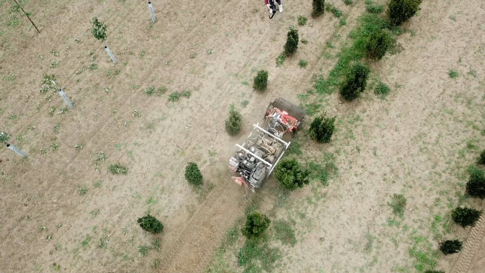 The autonomous caterpillar vehicle, AMU-Bot, drives between the rows in the tree nursery and removes any weeds.